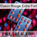 Étalon Rouge Extra Fort 05